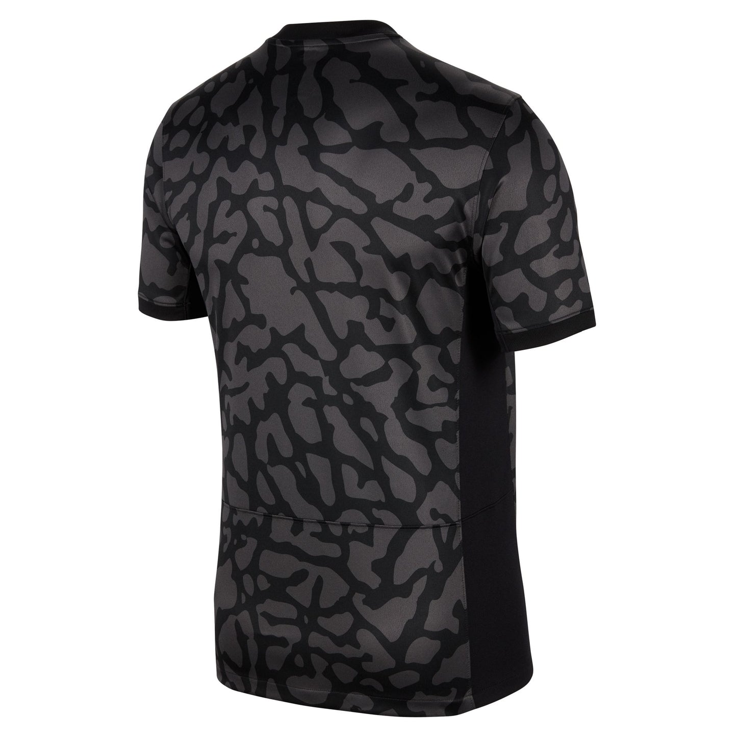 Paris Saint-Germain 2023/24 Stadium Third Straight Jordan Dri-FIT Soccer Jersey