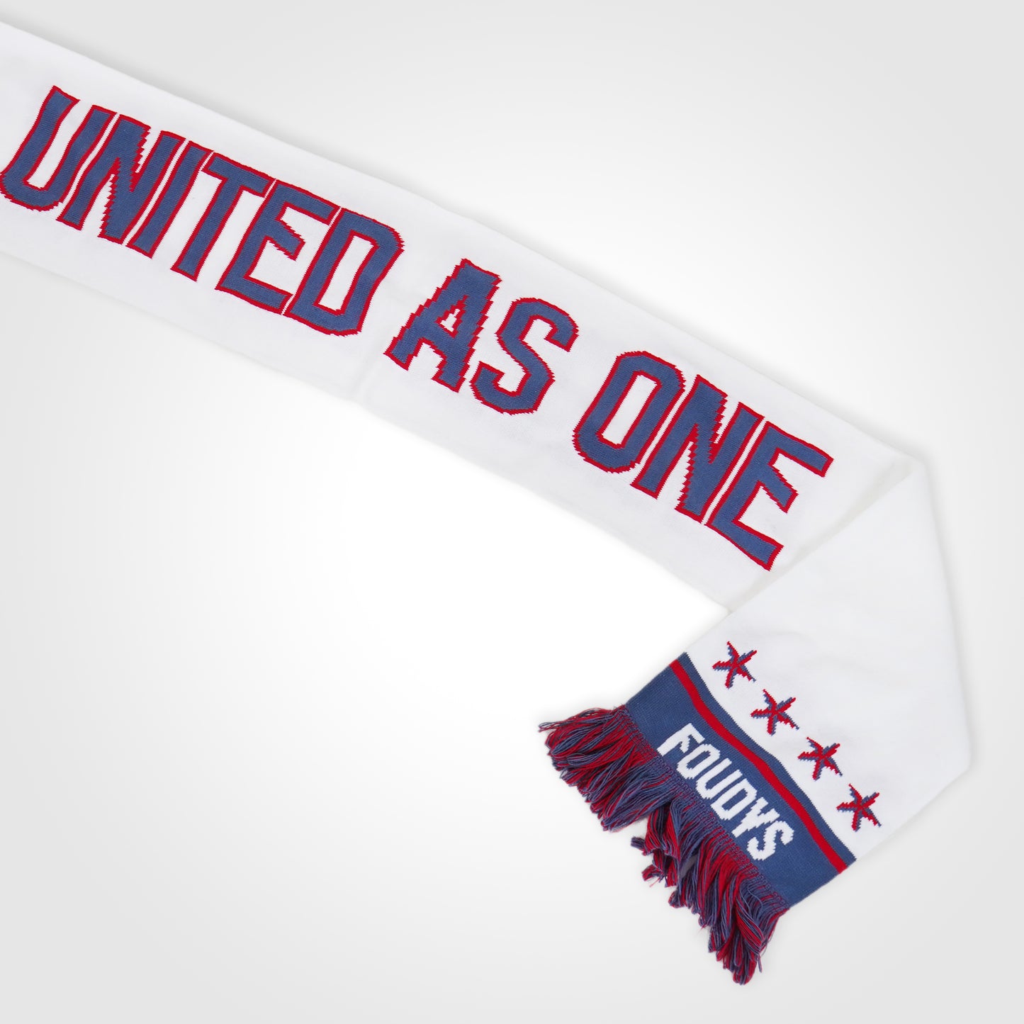 USA United As One Scarf